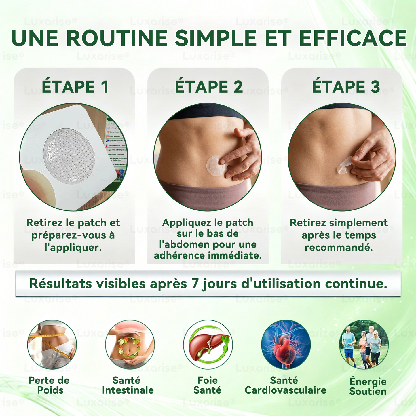 Magasin Officiel |  Luxarise® Moringa & Bérbérine 10-en-1 Patch Nanomicro-aiguilles Avancé👩‍⚕️ (Une application quotidienne, résultats visibles en 7 jours) ✅ Obésité, Diabète, Apnée du sommeil, Problèmes articulaires🍃