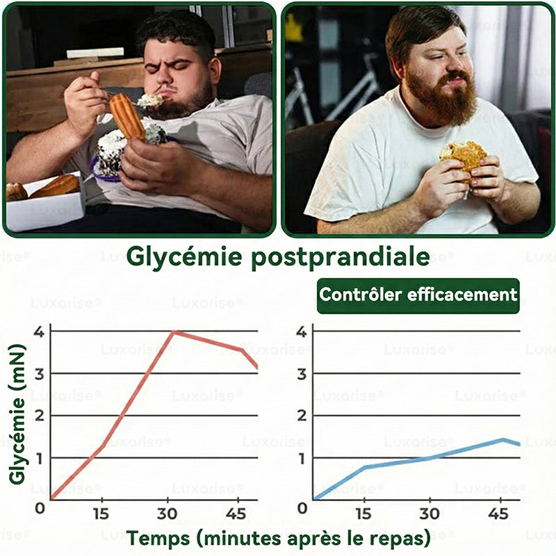 Magasin Officiel |  Luxarise® Moringa & Bérbérine 10-en-1 Patch Nanomicro-aiguilles Avancé👩‍⚕️ (Une application quotidienne, résultats visibles en 7 jours) ✅ Obésité, Diabète, Apnée du sommeil, Problèmes articulaires🍃
